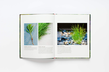 Паперова книга «Wild about Weeds. Garden Design with Rebel Plants», автор Джек Воллінгтон - фото №12 - мініатюра