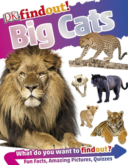 Бумажная книга «DKfindout! Big Cats » - фото №1 - миниатюра