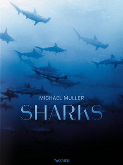 Паперова книга «Michael Muller. Sharks, Face-to-Face with the Ocean's Endangered Predator » - фото №1 - мініатюра