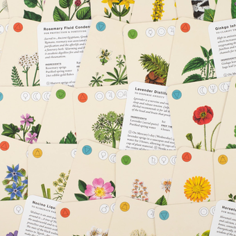Паперова книга «Wild Alchemy Lab. An Astro-botanical Remedy Deck», автор Джемма Фостер - фото №6 - мініатюра
