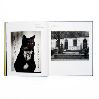 Паперова книга «Yevonde. Life and Colour», автор Клер Фрістоун - фото №5 - мініатюра