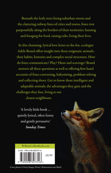 Паперова книга «The Hidden World of the Fox» - фото №4 - мініатюра