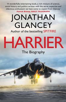 Бумажная «Harrier», автора Джонатан Глэнси– фото №1