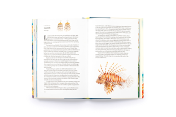 Бумажная книга «Around the Ocean in 80 Fish and other Sea Life», автор Хелен Скейлс - фото №5 - миниатюра