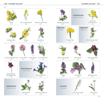 Паперова книга «What's that Flower? The Simplest ID Guide Ever» - фото №4 - мініатюра
