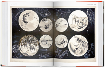 Бумажная книга «Fritz Kahn. Infographics Pioneer» - фото №4 - миниатюра