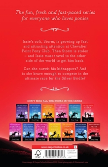 Бумажная книга «Storm and the Silver Bridle», автор Стейси Грегг - фото №2 - миниатюра