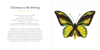 Бумажная книга «The Little Guide to Butterflies» - фото №5 - миниатюра