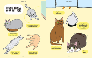 Паперова книга «I Touched a Cat and I Liked it», автор Анна Бландфорд - фото №10 - мініатюра