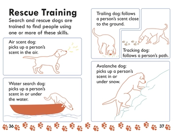 Паперова книга «Amazing Dogs. Tales of Daring Dogs!», автор Лора Буллер - фото №3 - мініатюра