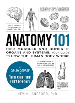 Паперова книга «Anatomy 101», автор Кевін Лангфорд - фото №2 - мініатюра