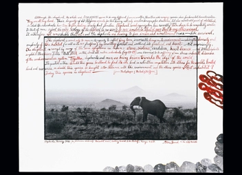Бумажная книга «Peter Beard », автор Оуэн Эдвардс - фото №5 - миниатюра