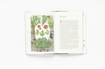 Бумажная книга «Around the World in 80 Trees», автор Джонатан Дрори - фото №9 - миниатюра