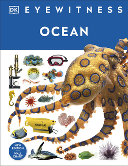 Бумажная книга «Ocean» - фото №1 - миниатюра