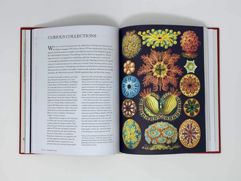 Бумажная книга «The Madman's Library. The Greatest Curiosities of Literature», автор Эдвард Брук-Хитчинг - фото №5 - миниатюра