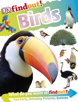 Бумажная книга «DKfindout! Birds» - фото №1 - миниатюра