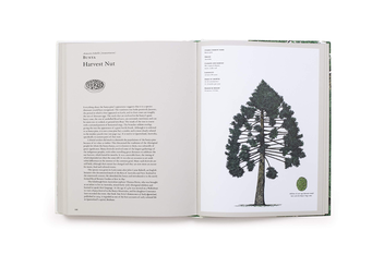 Бумажная книга «Story of Trees. And How They Changed the Way We Live», авторов Дэвид Уэст, Кевин Хоббс - фото №10 - миниатюра