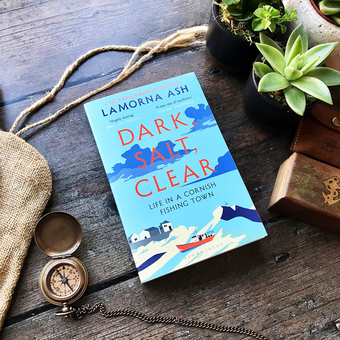 Паперова книга «Dark, Salt, Clear», автор Ламорна Еш - фото №3 - мініатюра