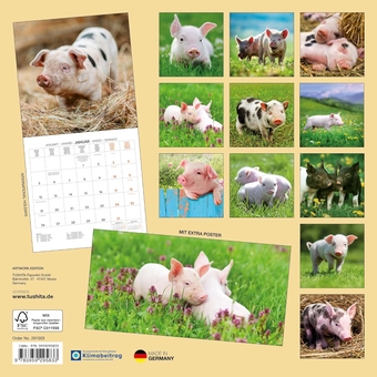 Бумажная книга «Schweinchen/Piggies/Cochons 2026» - фото №2 - миниатюра