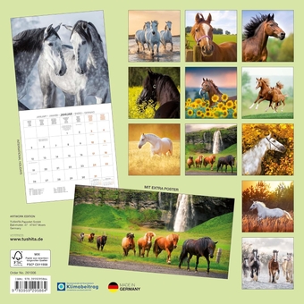 Бумажная книга «Pferde/Horses/Chevaux 2026» - фото №2 - миниатюра