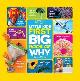 Паперова книга «Little Kids First Big Book of Why», автор Емі Шилдс - фото №1 - мініатюра