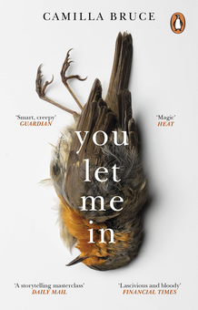 Бумажная книга «You Let Me In», автор Камилла Брюс - фото №1 - миниатюра