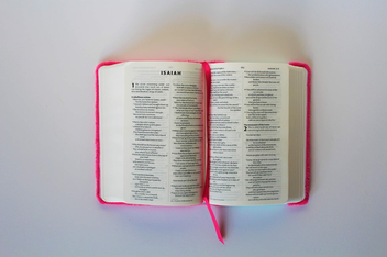Паперова книга «NIV Pocket Fluffy Pink Bible» - фото №8 - мініатюра