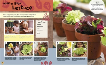 Бумажная книга «RHS Let's Get Gardening» - фото №4 - миниатюра