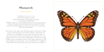 Бумажная книга «The Little Guide to Butterflies» - фото №3 - миниатюра