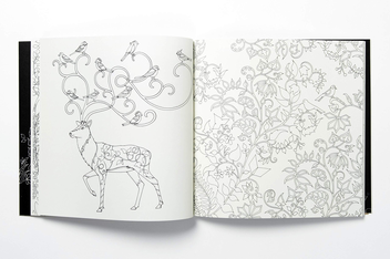 Бумажная книга «Enchanted Forest. An Inky Quest and Colouring Book», автор Джоанна Басфорд - фото №7 - миниатюра