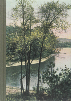 Бумажная книга «Thoreau Notebook» - фото №1 - миниатюра