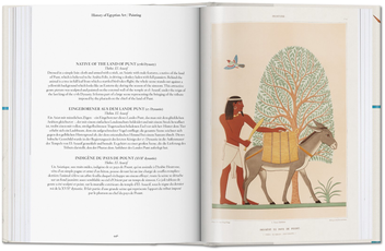 Бумажная книга «Prisse d'Avennes. Egyptian Art», автор Салима Икрам - фото №5 - миниатюра