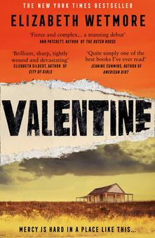 Паперова книга «Valentine», автор Елізабет Ветмор - фото №1 - мініатюра