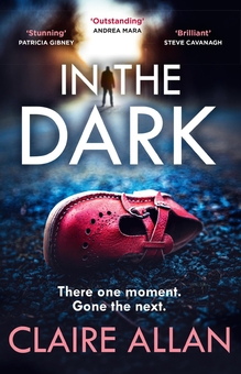 Паперова книга «In The Dark», автор Клер Аллан - фото №1 - мініатюра