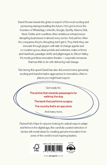Паперова книга «Non-Bullshit Innovation. Radical Ideas from the World’s Smartest Minds», автор Девід Роуен - фото №2 - мініатюра