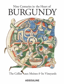 Паперова книга «Nine Centuries in the Heart of Burgundy», автор Жіль Платре - фото №3 - мініатюра