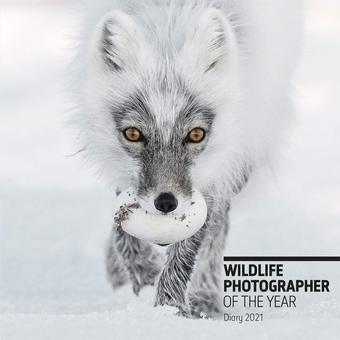 Бумажная книга «Wildlife Photographer of the Year Desk Diary 2021» - фото №2 - миниатюра