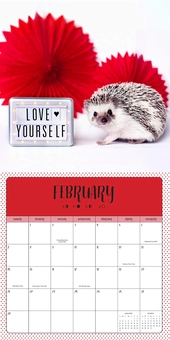 Паперова книга «Adorable Hedgehogs 2021» - фото №3 - мініатюра