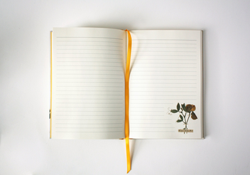 Паперова книга «Emily Dickinson Notebook» - фото №4 - мініатюра