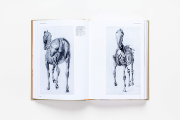Бумажная книга «Sensations. The Story of British Art from Hogarth to Banksy», автор Джонатан Джонс - фото №12 - миниатюра