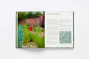 Паперова книга «Wild about Weeds. Garden Design with Rebel Plants», автор Джек Воллінгтон - фото №13 - мініатюра