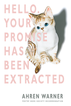 Бумажная книга «Hello. Your promise has been extracted», автор Арен Уорнер - фото №1 - миниатюра
