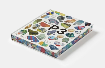 Бумажная книга «Vitamin P3. New Perspectives in Painting» - фото №3 - миниатюра