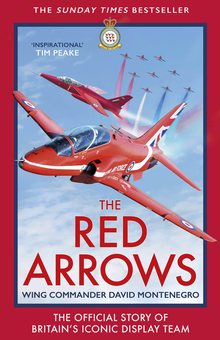 Паперова книга «The Red Arrows», автор Девід Монтенегро - фото №1 - мініатюра