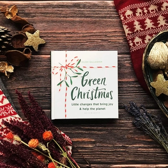 Паперова книга «Green Christmas», автор Ейлід Галлахер - фото №6 - мініатюра