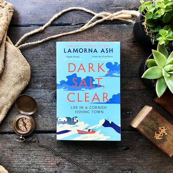 Паперова книга «Dark, Salt, Clear», автор Ламорна Еш - фото №4 - мініатюра