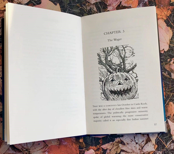 Бумажная книга «Elevation», автор Стивен Кинг - фото №3 - миниатюра