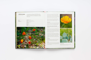 Паперова книга «Wild about Weeds. Garden Design with Rebel Plants», автор Джек Воллінгтон - фото №14 - мініатюра