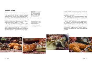 Бумажная книга «Blue Planet II», авторов Джеймс Ханиборн, Марк Браунлоу - фото №4 - миниатюра