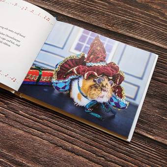 Бумажная книга «A Guinea Pig Nutcracker», автор Алекс Гудвин - фото №5 - миниатюра